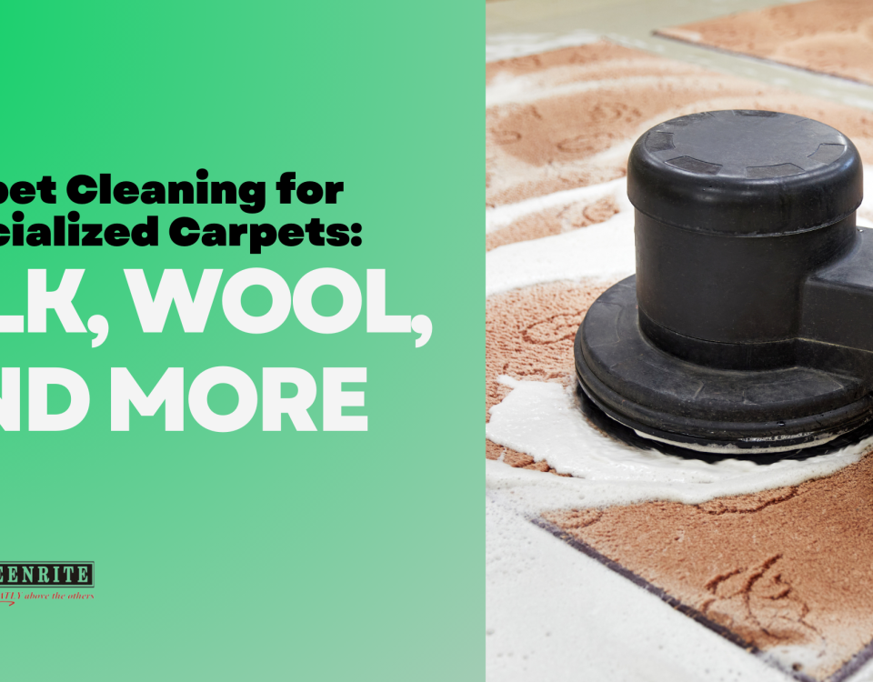 Carpet Cleaning for Specialized Carpets: Silk, Wool, and More Kleenrite